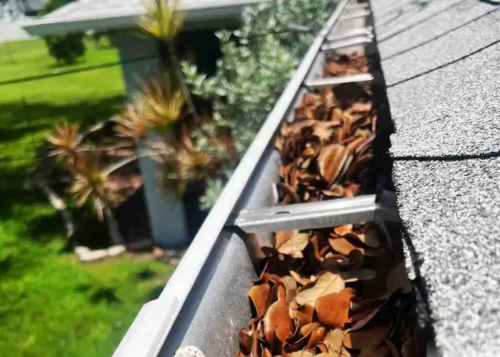 Saddle Rock gutter cleaning home page